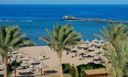 Отель Club Magic Life Sharm el Sheikh Imperial 5*