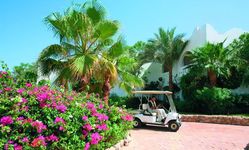 Отель Domina Coral Bay Aquamarine Beach 5*