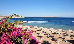 Отель Domina Coral Bay Sultana 5*