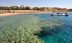 Отель Domina Coral Bay Sultana 5*