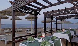 Отель Dreams Beach Sharm El Sheikh 5*